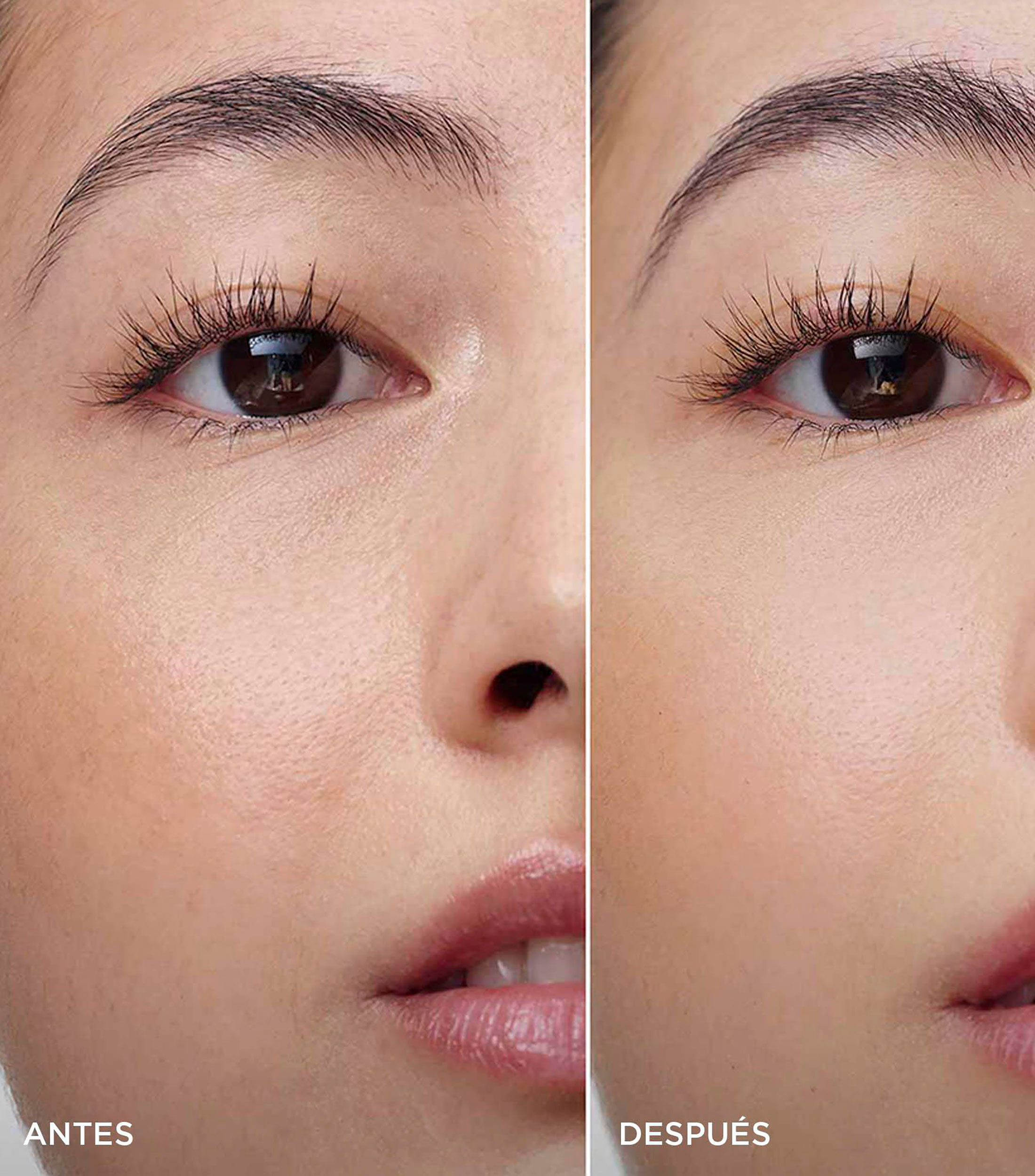 Gel fijador para cejas, 5 ml